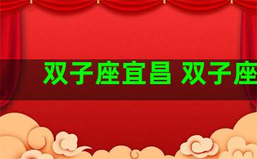 双子座宜昌 双子座ll